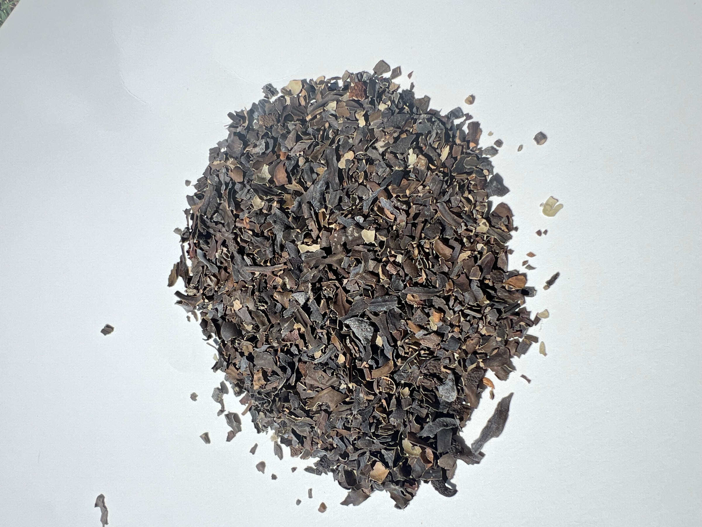 Organic Bladderwrack